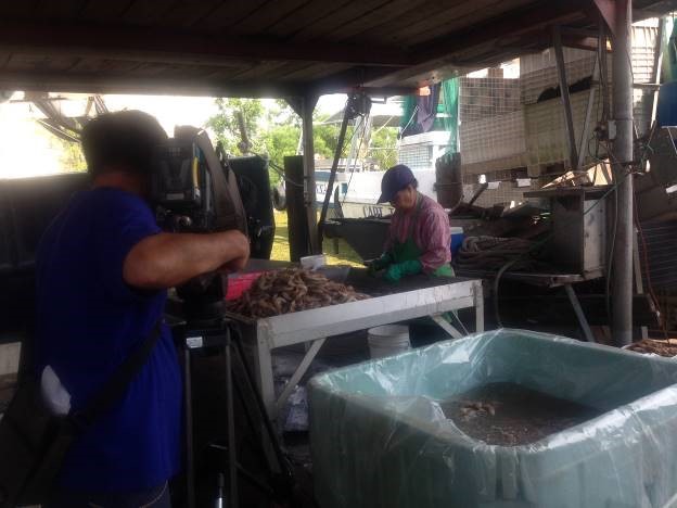 The seafood industry provides many jobs in New Orleans East for first-generation Vietnamese immigrants. Image courtesy of Mary Queen of Viet Nam Community Development Corporation.