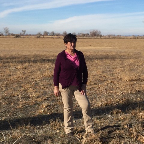 Leanne Hale of the Fallon-Shoshone Tribe stands in a fallowed field. Her tribe received only 20 percent of its water allocation in 2015. 