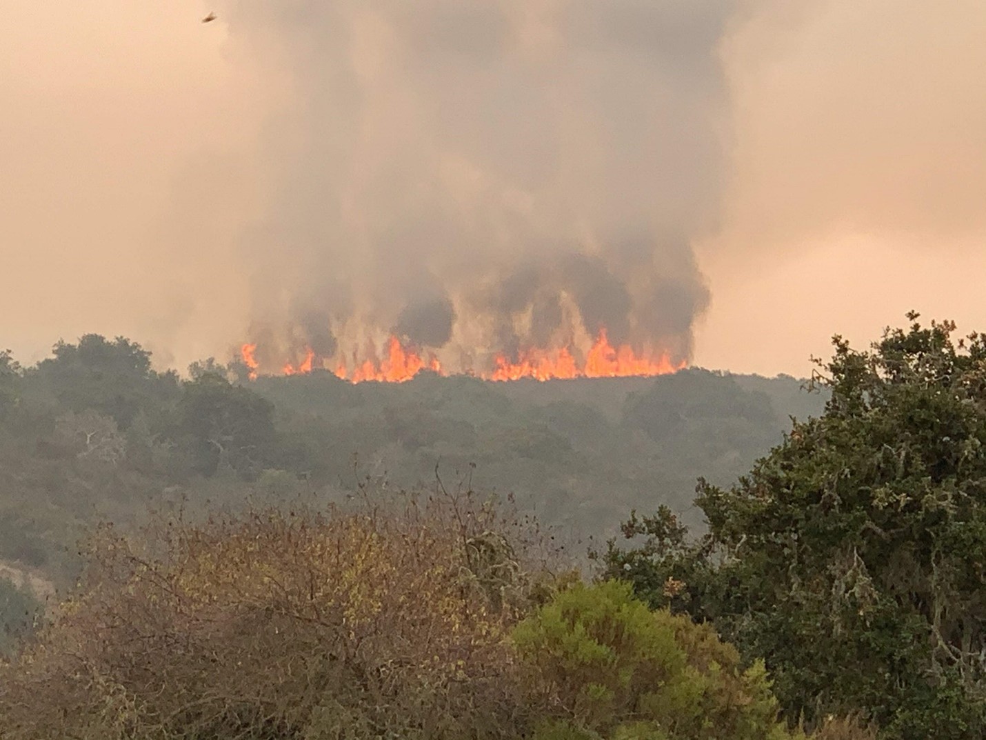 Featured image for the project, Curating wildfire knowledge, resources, and best practices for residents living with wildfire in Carmel Valley