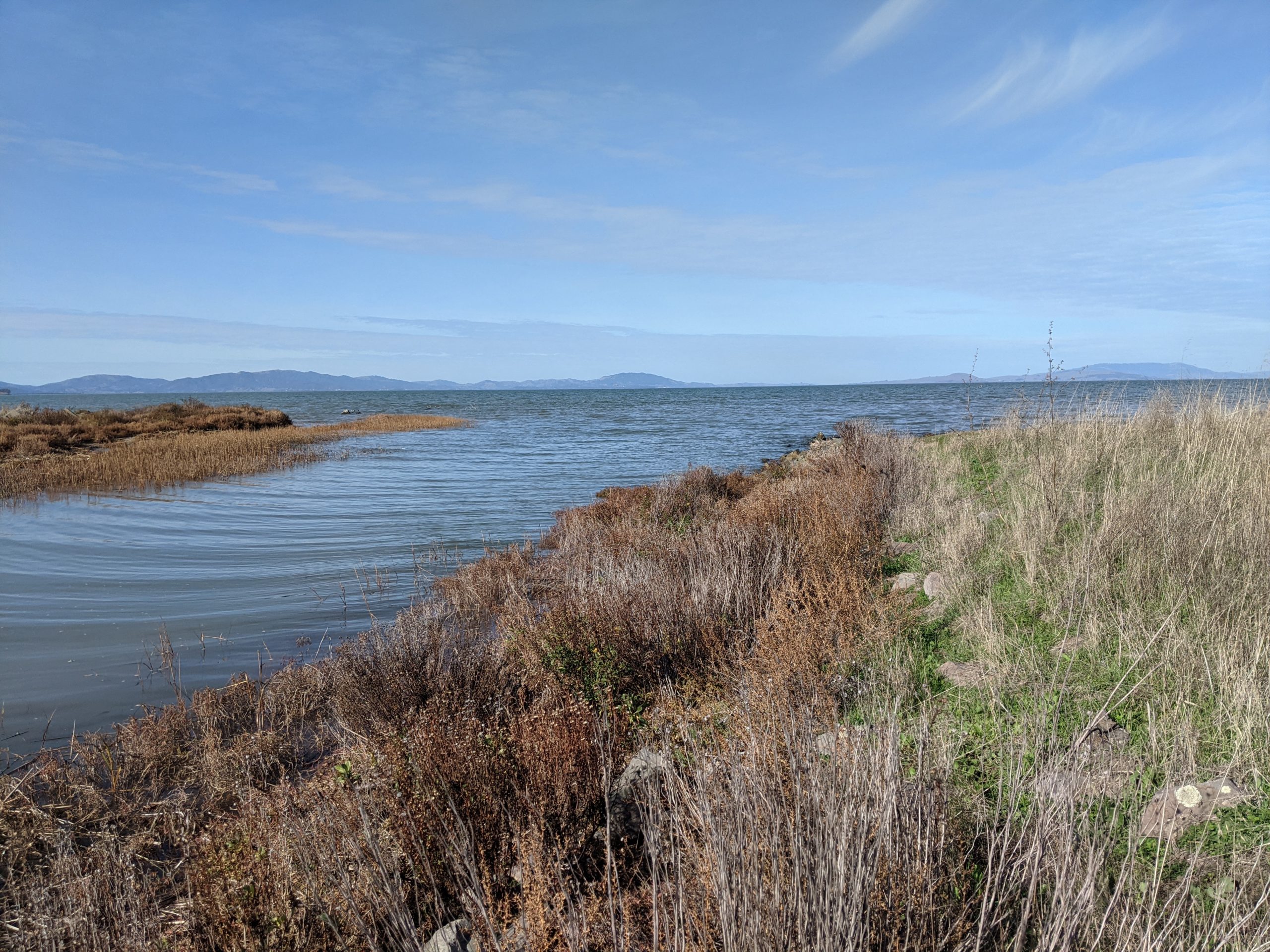 Featured image for the Engaging community to protect the Pinole Creek Watershed: Assessment of trash impacts to promote a thriving ecosystem project.