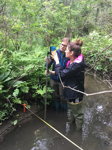 Two people holding a piece of measuring equipment stand in a stream surrounded by trees and ferns