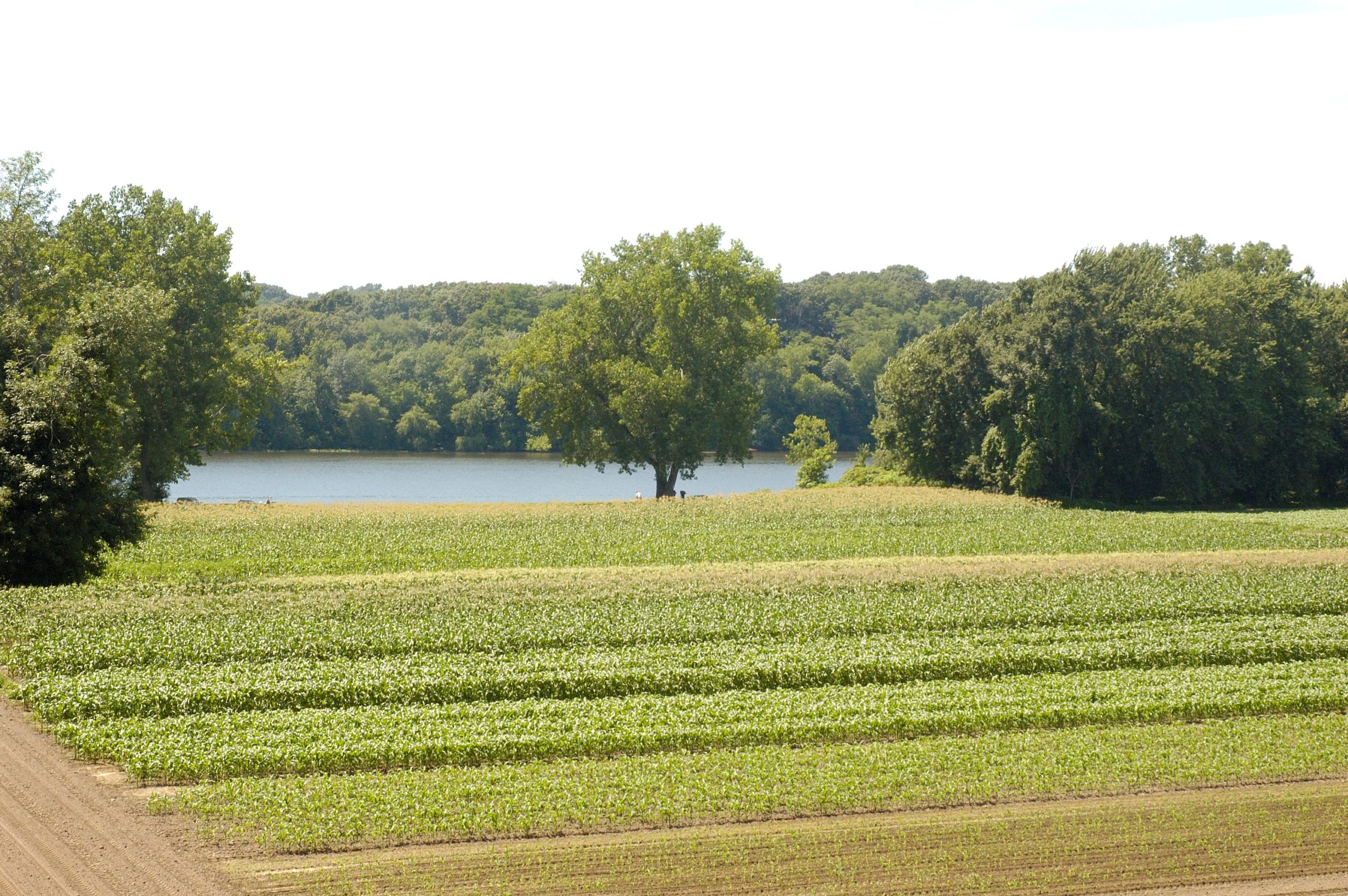View of agricultural field and riverfront land in Glastonbury, CT
