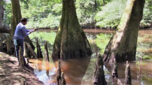 Man catching fish in a swampy creek.