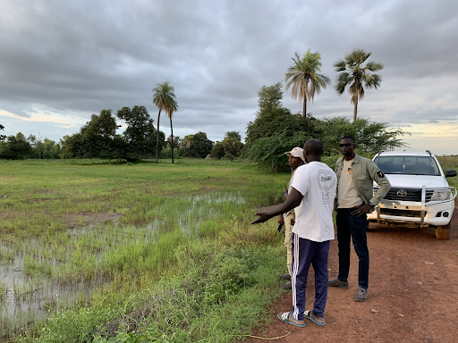 AJGES team members visit a field site in Senegal. (Pictured: a marshy field next to a red dirt road with three scientists and an SUV on it.