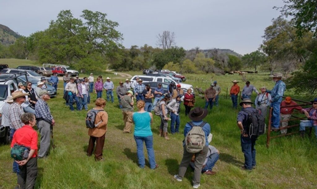 People gathered in field with cars