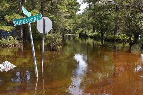 Imagen destacada del proyecto Evaluación y mejora del impacto de la mitigación de inundaciones del condado de Horry, Carolina del Sur, en Bucksport, SC.