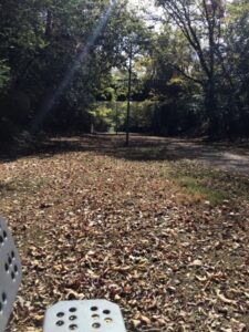 bridge over walking path