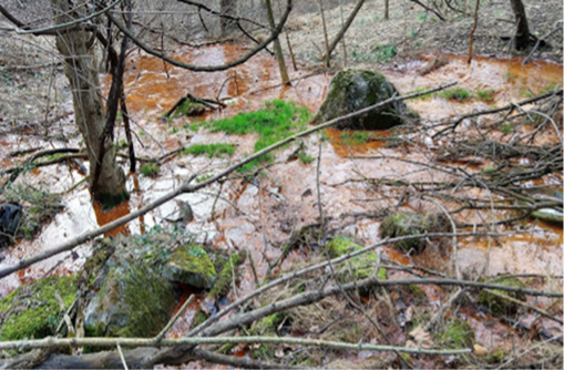 Featured image for the project, Identification of Pollutants in the Conodoguinet Creek Watershed: A Recommendation for Protection