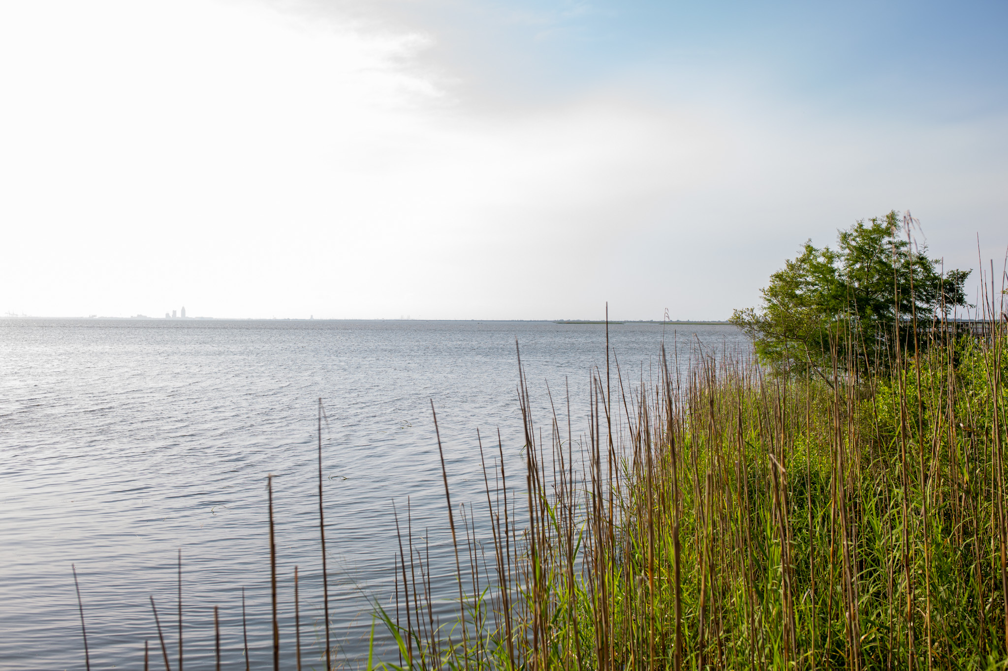 Featured image for the Investigating Potential Sources of Pollution Affecting Fish Consumption Safety in Coastal Alabama project.