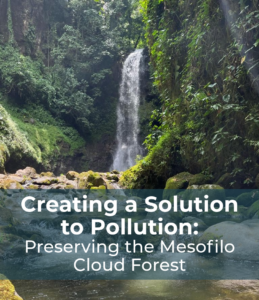 Creating the Solution to Pollution: Preserving the Mesofilo Cloud Forest