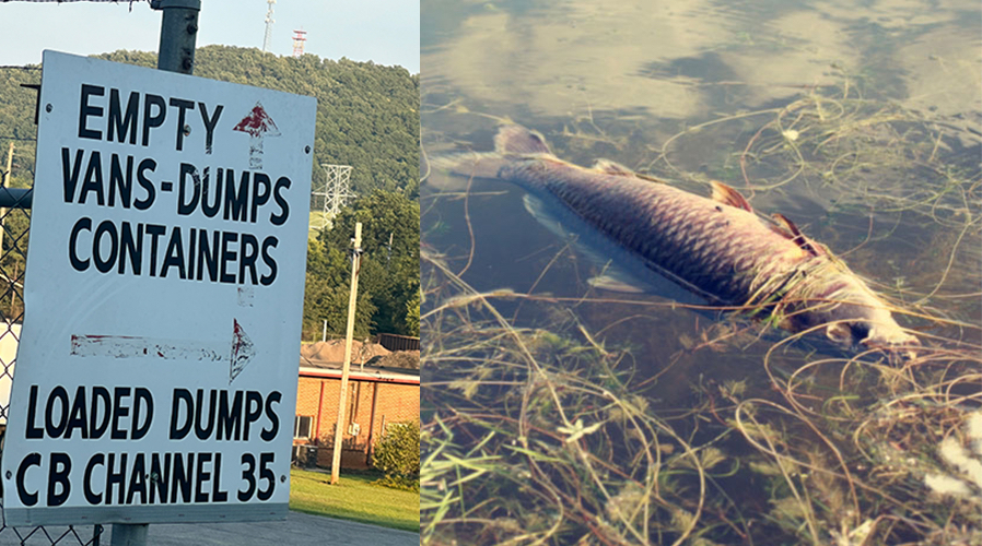 Featured image for the Environmental Justice in West Anniston: Long-Term Effects of Multiple Pollutants’ on Community Health project.