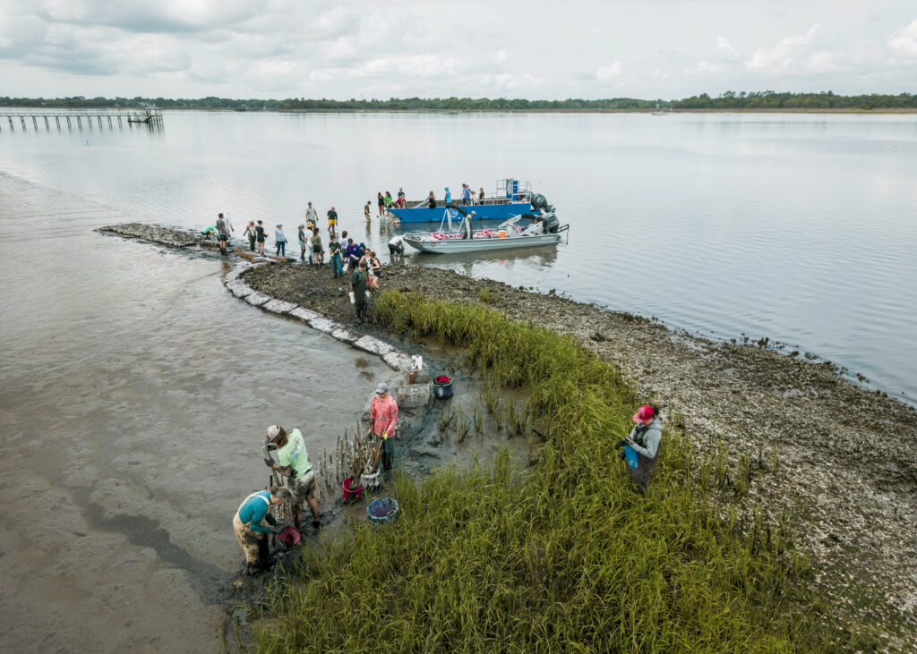Group of people placing sticks and shells near the shoreline of a river to prevent erosion