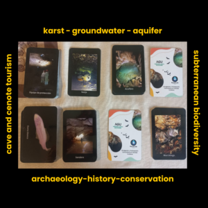 Memory game cards