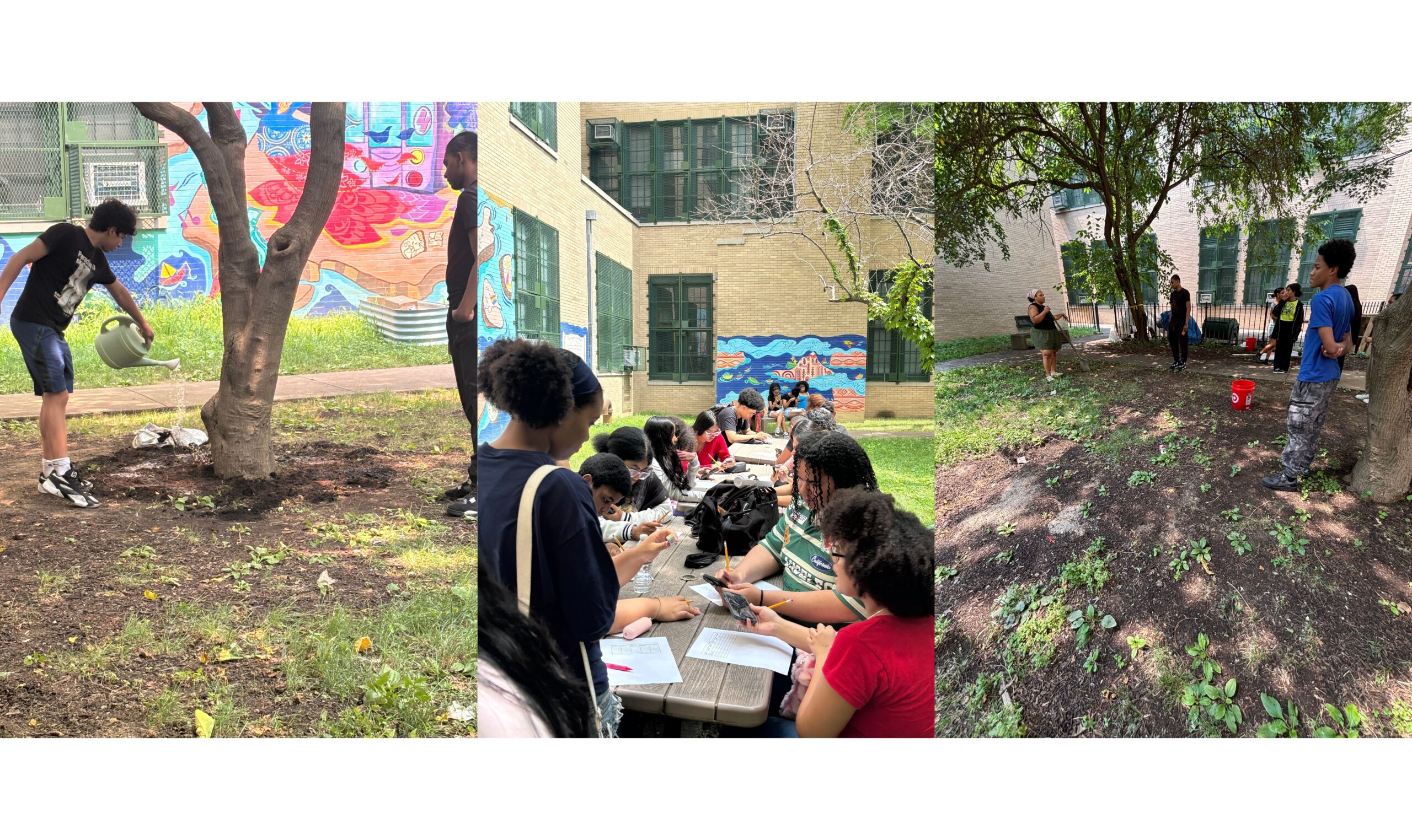 youth in an urban garden