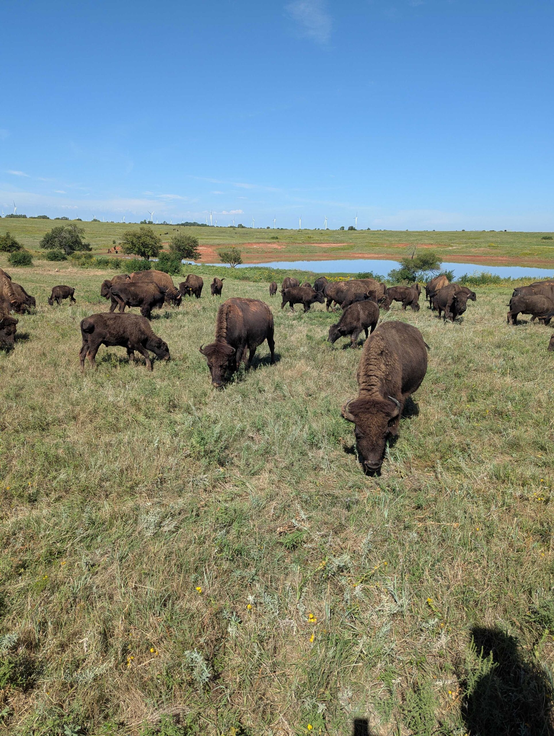 Moving Forward by Connecting with the Past