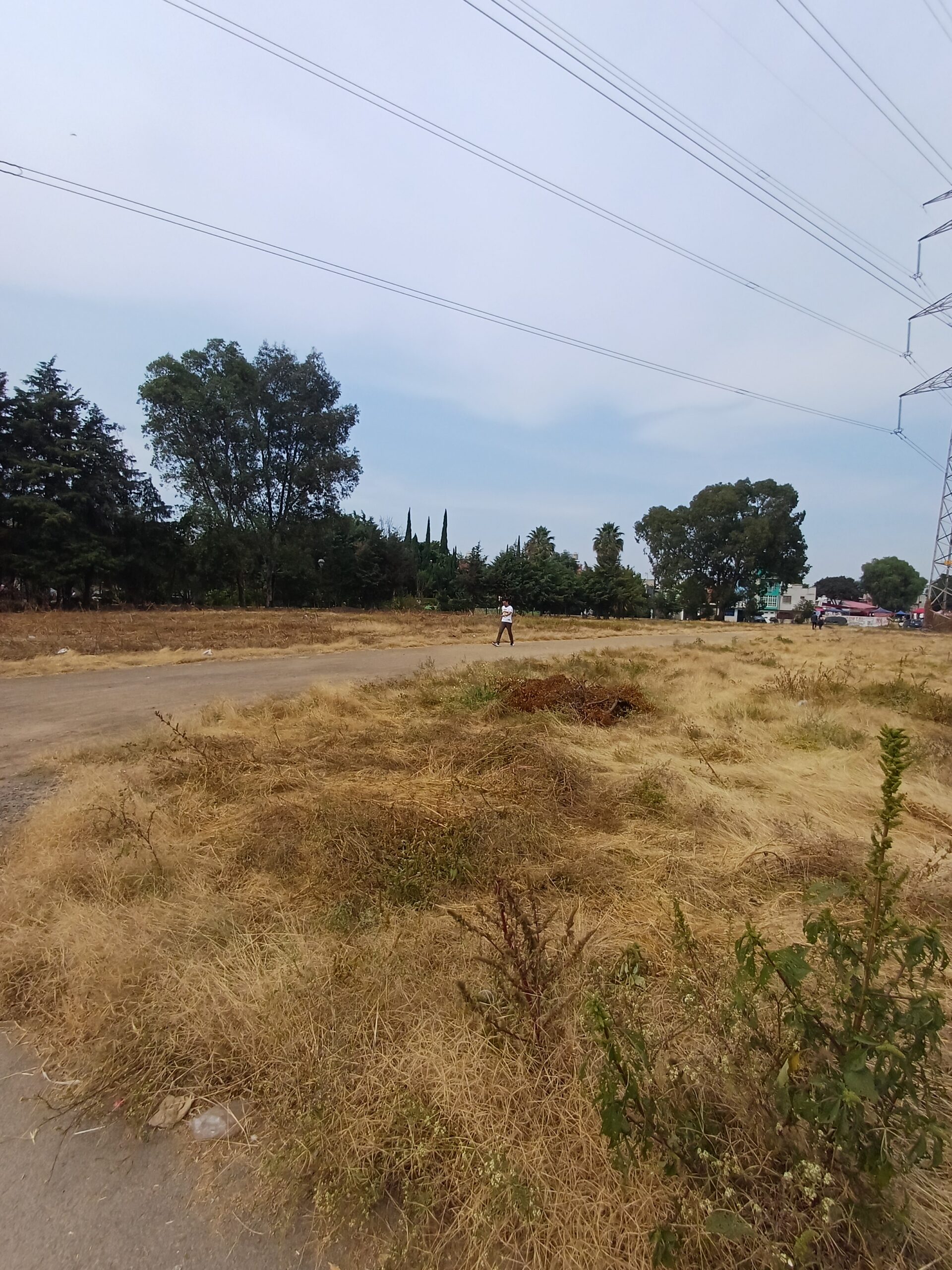 Building community gardens for a more sustainable, resilient Chicoloapan