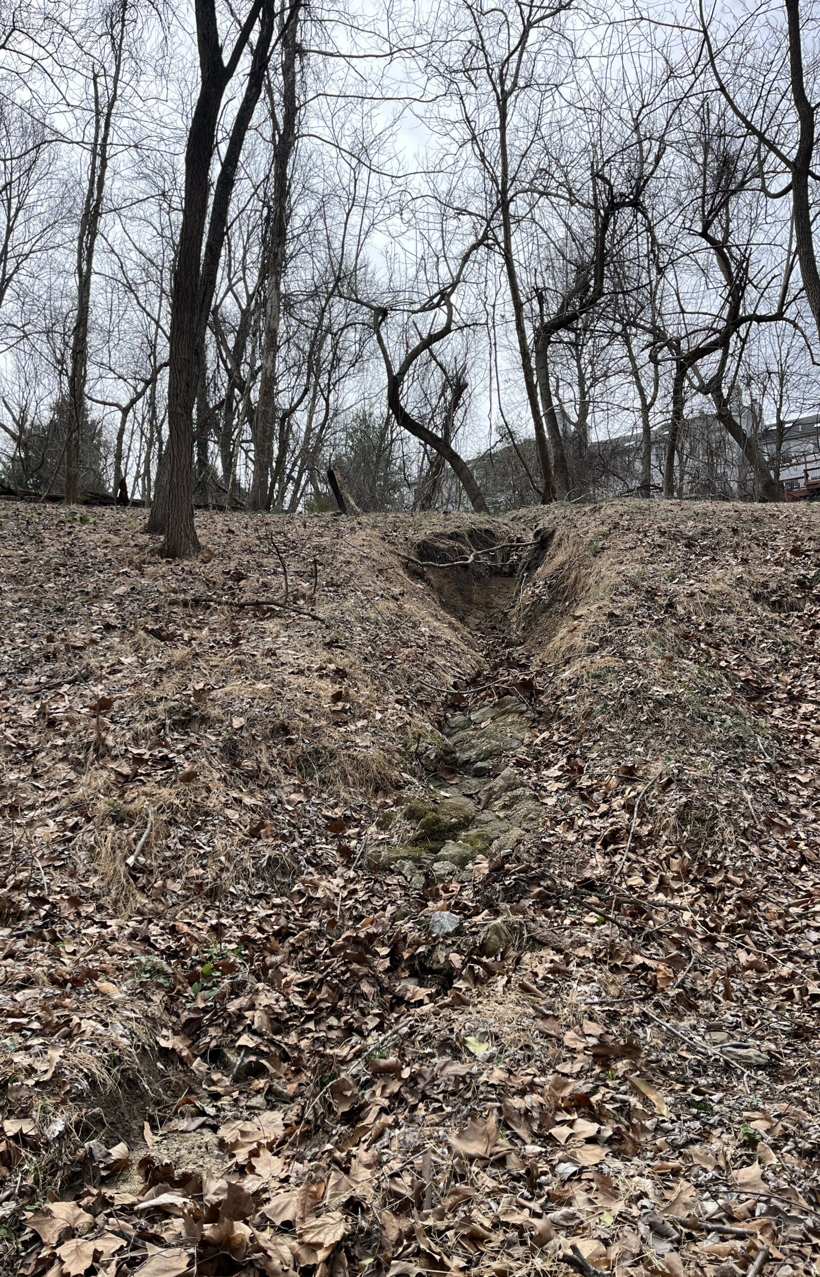 Stabilizing the Gully: A Step Pool Solution for Stormwater Erosion in Historic Oella, Maryland